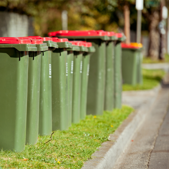 10 red-lidded green garbage bins lined up along a grassy curb. There is a yellow-lidded recycling bin and another red-lidded garbage bin in the background.