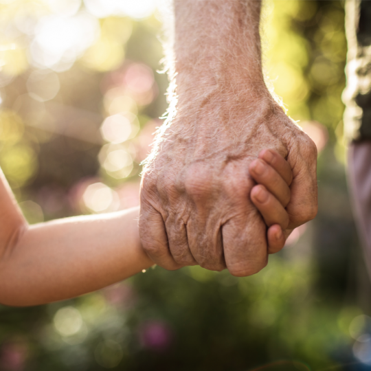 Close up of a young child holding a grandparent's hand outside on a sunny day.