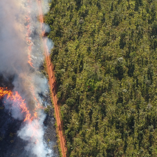 Aerial photo of a bushfire burning next to a dirt road.