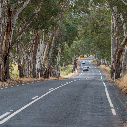 Tarmac road surrounded by trees with cars travelling in the distance