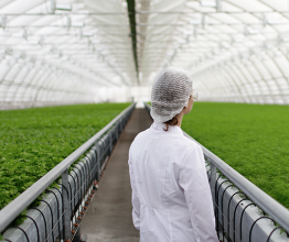 Image shows biotechnology woman engineer examining plant leaf for disease. Photo courtesy of WAYHOME Studio/Shutterstock.com