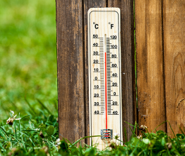 Image of thermometer on wooden background. Photo courtesy of Dora Zett/Shutterstock.com