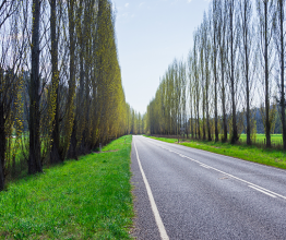 Image shows an Australian rural road near Marysville, Victoria. Photo courtesy of Nils Versemann/Shutterstock.com