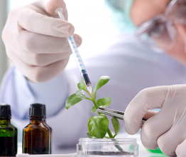 Biotechnology concept with scientist in lab. Photo courtesy of Elnur/Shutterstock.com