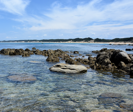 View of coastline of Cape Conran Coastal Park (East Gippsland, Victoria, Australia) in summer. Photo courtesy of katacarix/shutterstock.com 
