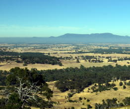 Early morning View from One Tree Hill Lookout (Ararat, VIC Australia). Broad panorama of the countryside in Western District of Victoria. Photo courtesy of katacarix/shutterstock.com