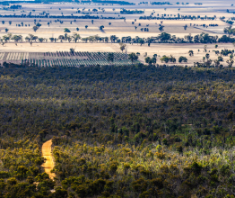 Dirt road winding through native vegetation against a backdrop of farmland.