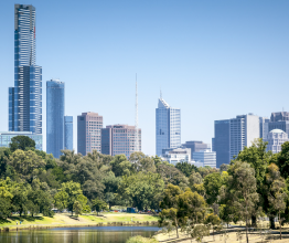 The banks of the Yarra River on a sunny day. There are trees and the city's skyline in the background.