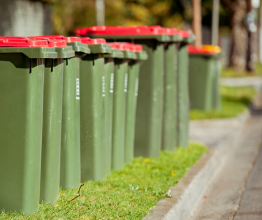 10 red-lidded green garbage bins lined up along a grassy curb. There is a yellow-lidded recycling bin and another red-lidded garbage bin in the background.
