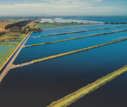 Aerial photo of sewage treatment ponds in regional Victoria.