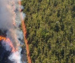 Aerial photo of a bushfire burning next to a dirt road.